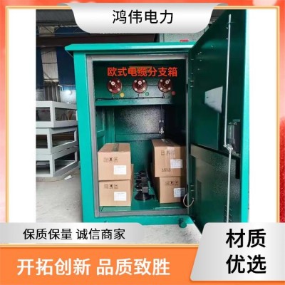 鸿伟电力 10kv电缆对接箱 电网用不锈钢动力成套配电柜 生产厂家图5