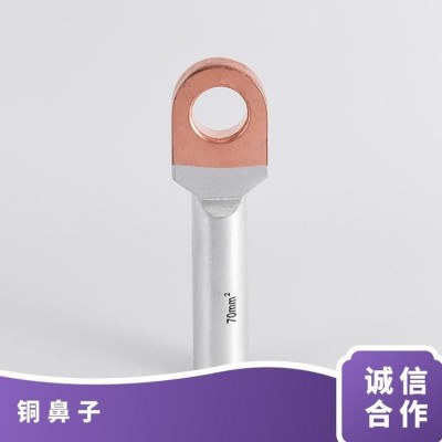 欧式铜铝鼻 铜铝接线端子 铜铝鼻子ODTL线耳金弘电力金具图5
