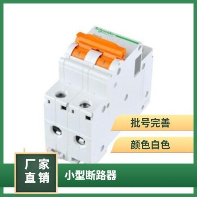 施耐德原装A9系列IC65N40A带漏电保护断路器ELE 1P 2P 3P 4P 1A-80A图4