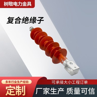 复合横担绝缘子悬垂串FS-35/5复合耐张绝缘子串复合针式绝缘子图5