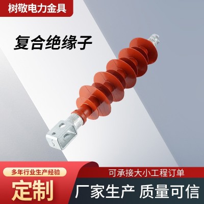复合横担绝缘子悬垂串FS-35/5复合耐张绝缘子串复合针式绝缘子图3