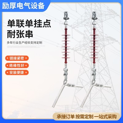 35KV复合绝缘子串 光缆耐张金具串 单联双联悬式导线金具串绝缘子图2