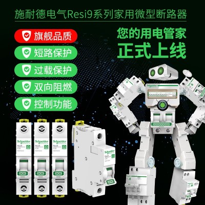 施耐德R9空气开关1P 25A 32a 40a 家用空气开关断路器不带漏保图2