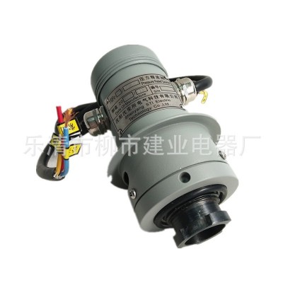 YSF6-35/25KKJBTH变压器压力释放阀 沈变所电力压力释放装置图5