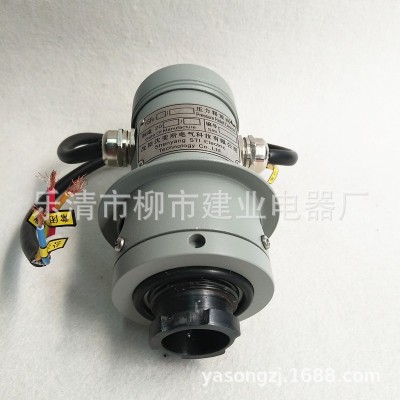 YSF6-35/25KKJBTH变压器压力释放阀 沈变所电力压力释放装置图4