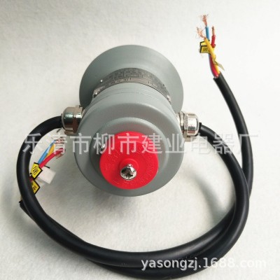 YSF6-35/25KKJBTH变压器压力释放阀 沈变所电力压力释放装置图2