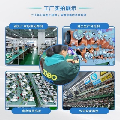 泵吸式二氧化硫气体检测仪 便携式SO2气 体浓度报警器图3