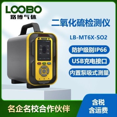 泵吸式二氧化硫气体检测仪 便携式SO2气 体浓度报警器