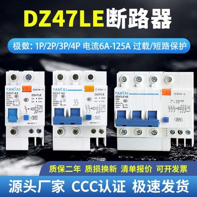 厂家DZ47LE-63漏电保护器空气开关32A40A过载短路小型漏电断路器图2