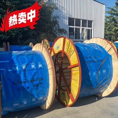 汉河电缆 ERF8.7/15kV 规格1×630 镀锡铜导体 货物充足图2