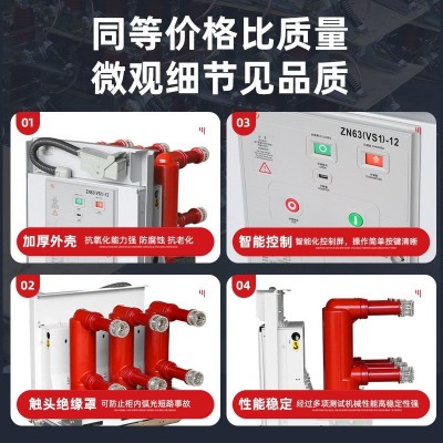 ZN63(VS1)-12固定式户内真空断路器 固定手车式ZN63A高压开关图4