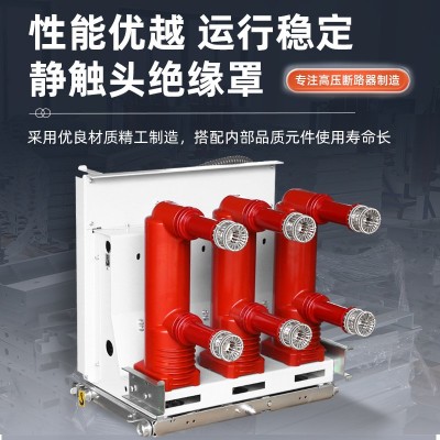 ZN63(VS1)-12固定式户内真空断路器 固定手车式ZN63A高压开关图2