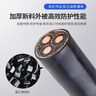 金猫国标铜芯YJV22低压电力电缆阻燃地埋铠装电缆 1米