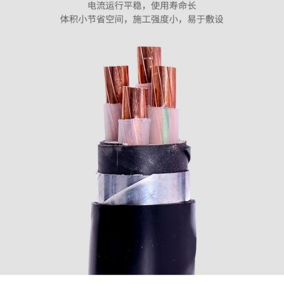 金猫国标铜芯YJV22低压电力电缆阻燃地埋铠装电缆 1米图2