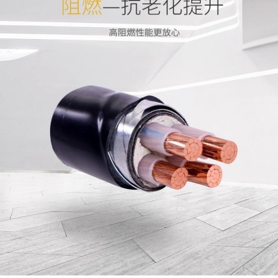 金猫国标铜芯YJV22低压电力电缆阻燃地埋铠装电缆 1米图3