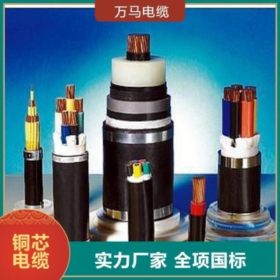 国标铜芯通信电缆 阻燃电缆 耐高温送货到厂 纯铜 万马电缆 1米图2