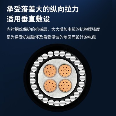 安普YJV32铜芯钢丝铠装电缆防水防火3/4/5芯国标德标英美标电源线 1米图2