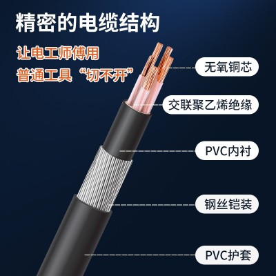安普YJV32铜芯钢丝铠装电缆防水防火3/4/5芯国标德标英美标电源线 1米