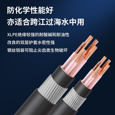安普YJV32铜芯钢丝铠装电缆防水防火3/4/5芯国标德标英美标电源线 1米图4