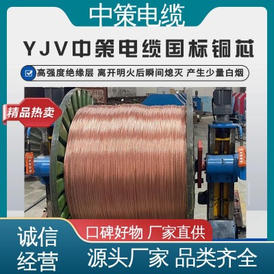 【中策电缆】 规格齐全 聚氯乙烯绝缘电缆 3c认证 质保终身 15米图4