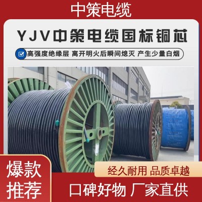 【中策电缆】 规格齐全 聚氯乙烯绝缘电缆 3c认证 质保终身 15米图3