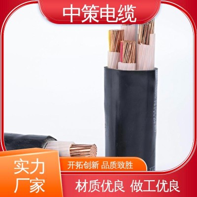 【中策电缆】 规格齐全 聚氯乙烯绝缘电缆 3c认证 质保终身 15米图2