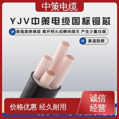 【中策电缆】 规格齐全 聚氯乙烯绝缘电缆 3c认证 质保终身 15米图5