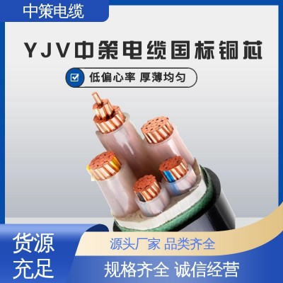 中策电缆 室外电线 国标纯铜 安全阻燃 防水防冻 持久耐用 15米