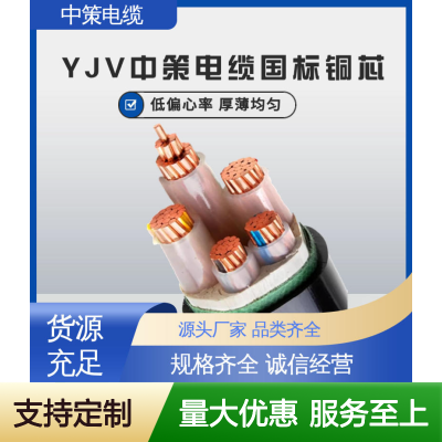 中策电缆 室外电线 国标纯铜 安全阻燃 防水防冻 持久耐用 15米图3