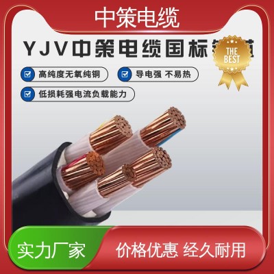 中策电缆 室外电线 国标纯铜 安全阻燃 防水防冻 持久耐用 15米图2