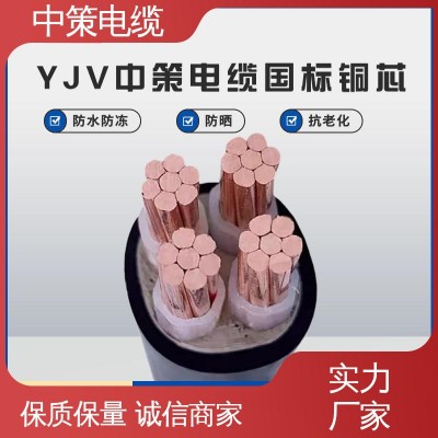 中策电缆 室外电线 国标纯铜 安全阻燃 防水防冻 持久耐用 15米图4