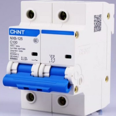 正泰NXB-125型大电流微端 2P 100A小型断路器 家用/工用空气开关图2