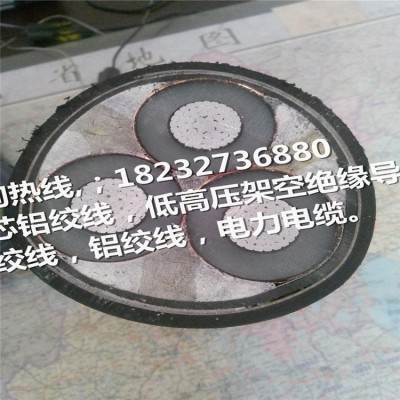 厂家直销电线电缆 铠装电力电缆 国标电缆电线 YJV22 4x1501 200件图2