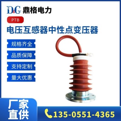 鼎格电力 PTB-10/35 PT中性点变压器 过电压抑治柜用 1件
