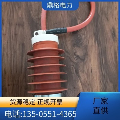 鼎格电力 PTB-10/35 PT中性点变压器 过电压抑治柜用 1件图4