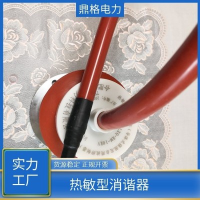 鼎格电力 DG-RM-10KV 35KV 热敏流敏消谐器 热敏电阻材料 运行可靠 1台图5