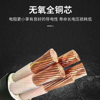 YJV电力电缆厂 阻燃铜芯工程电缆 0.6/1kV2芯绝缘电缆 现货厂家直营图3