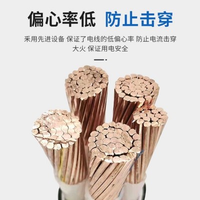 YJV电力电缆厂 阻燃铜芯工程电缆 0.6/1kV2芯绝缘电缆 现货厂家直营图2