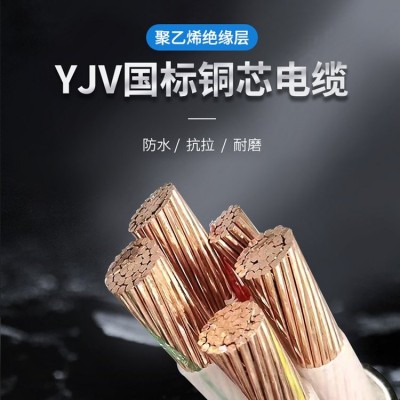 YJV电力电缆厂 阻燃铜芯工程电缆 0.6/1kV2芯绝缘电缆 现货厂家直营图4