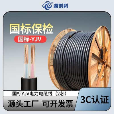 YJV电力电缆厂 阻燃铜芯工程电缆 0.6/1kV2芯绝缘电缆 现货厂家直营图5