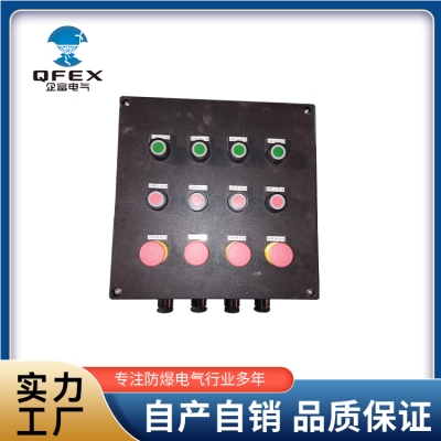 防爆外置式变频器柜 仪表接线箱 结实耐用 企富 1个图5