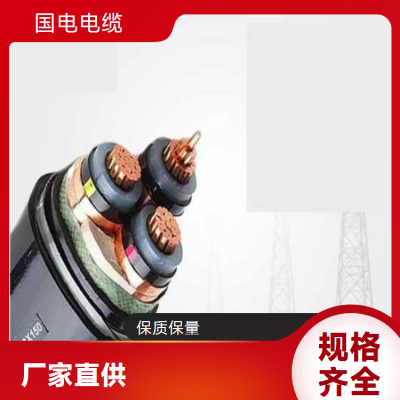 国电 优质原材料 精细加工 阻燃型ZR电缆 规格齐全图3