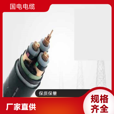 国电 优质原材料 精细加工 阻燃型ZR电缆 规格齐全图2