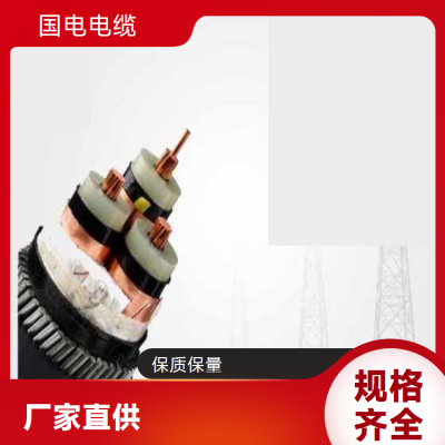 国电 优质原材料 精细加工 阻燃型ZR电缆 规格齐全图4