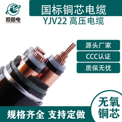 国电电缆 YJv高压电力电缆 无氧三铜芯电线电缆图5