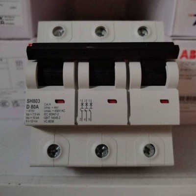 供应100A大电流微型断路器SH800系列80A 125A SH803-C100 1个图2