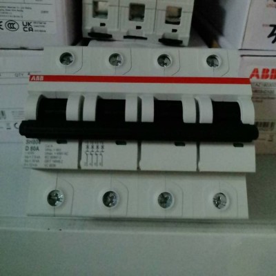 供应100A大电流微型断路器SH800系列80A 125A SH803-C100 1个图4