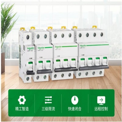 施耐德LS8断路器1P+N DPN双进双出16A20A25A32A40A带漏电保护空开原装***进口 1个图3