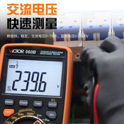 VICTOR胜利VC960B绝缘万用表锂电池二合一绝缘电阻测试仪1000V图3