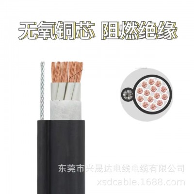 带钢丝吊机控制电缆 电葫芦手柄控制线 RVVG6-16芯柔软 耐折耐磨损图5